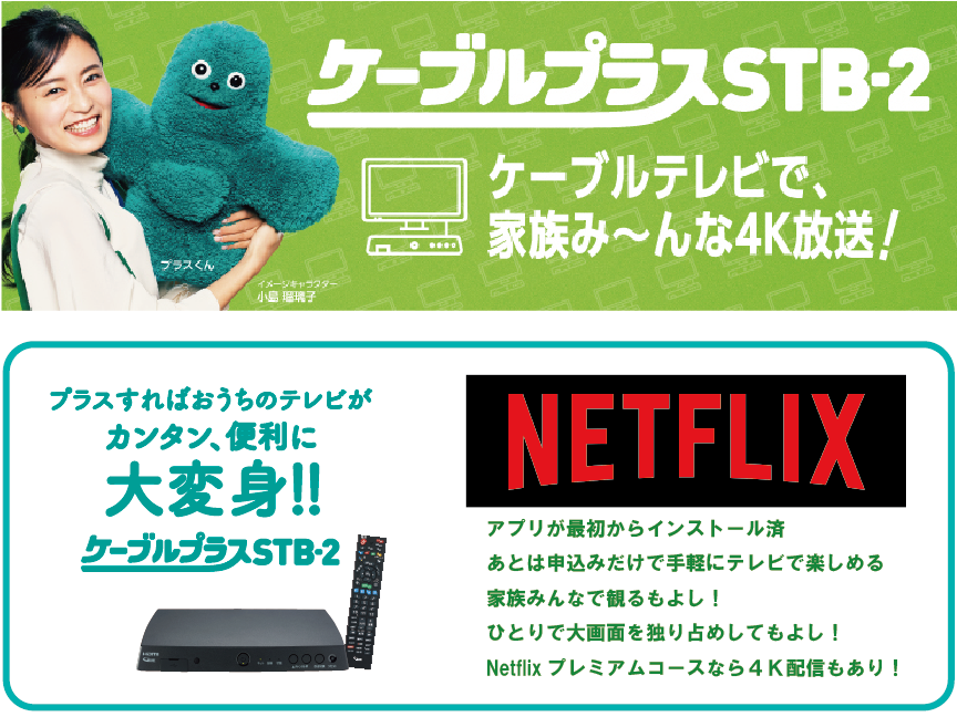 ケーブルプラスＳＴＢ-2.png